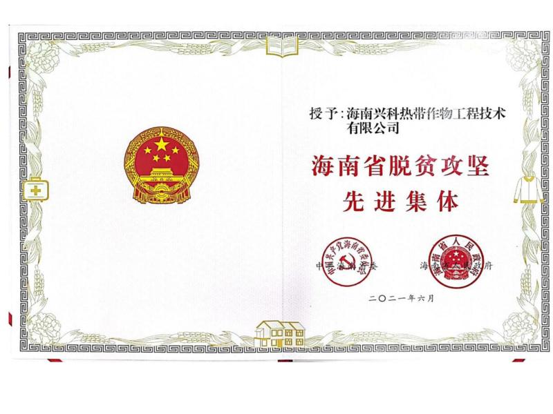 海南省脱贫攻坚先进集体