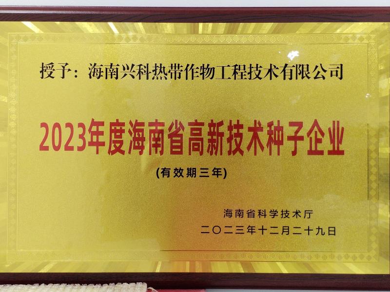 高新技术种子企业