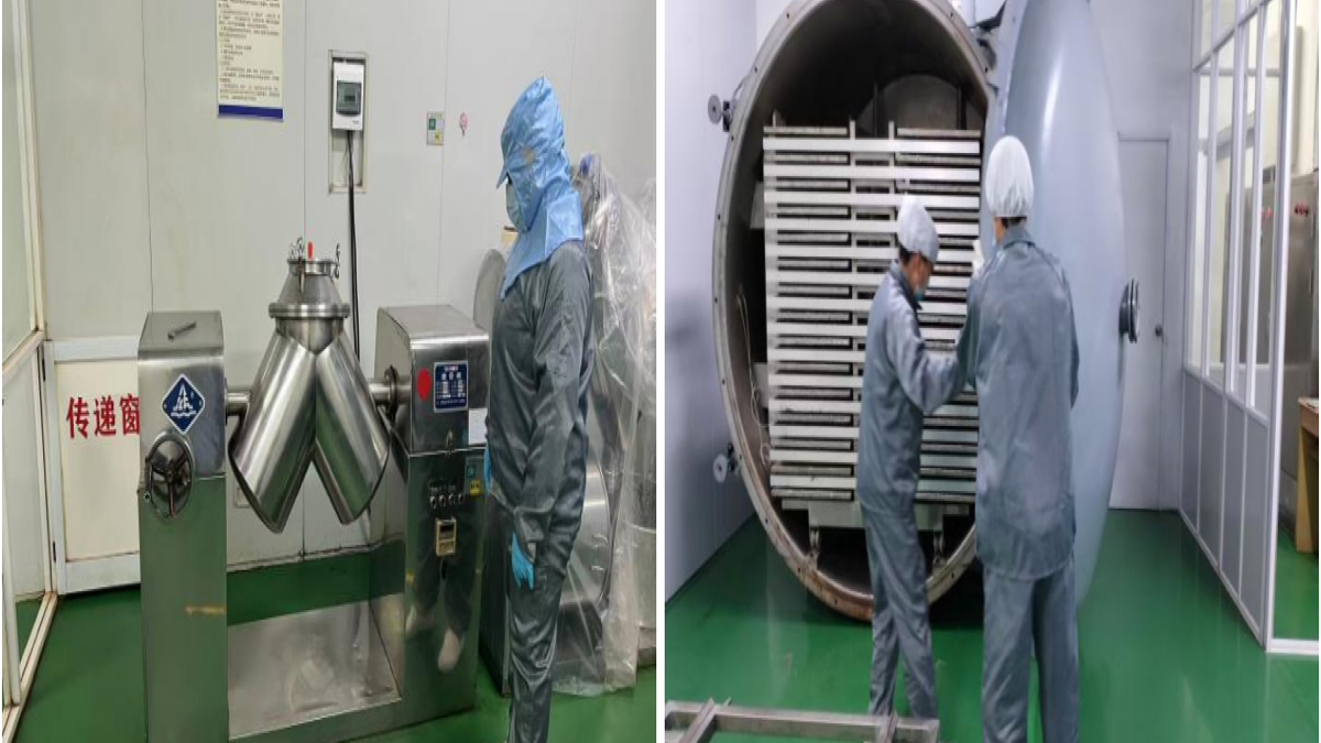 海南自贸港巧克力粉加工增值 “零关税”第一批通关出岛