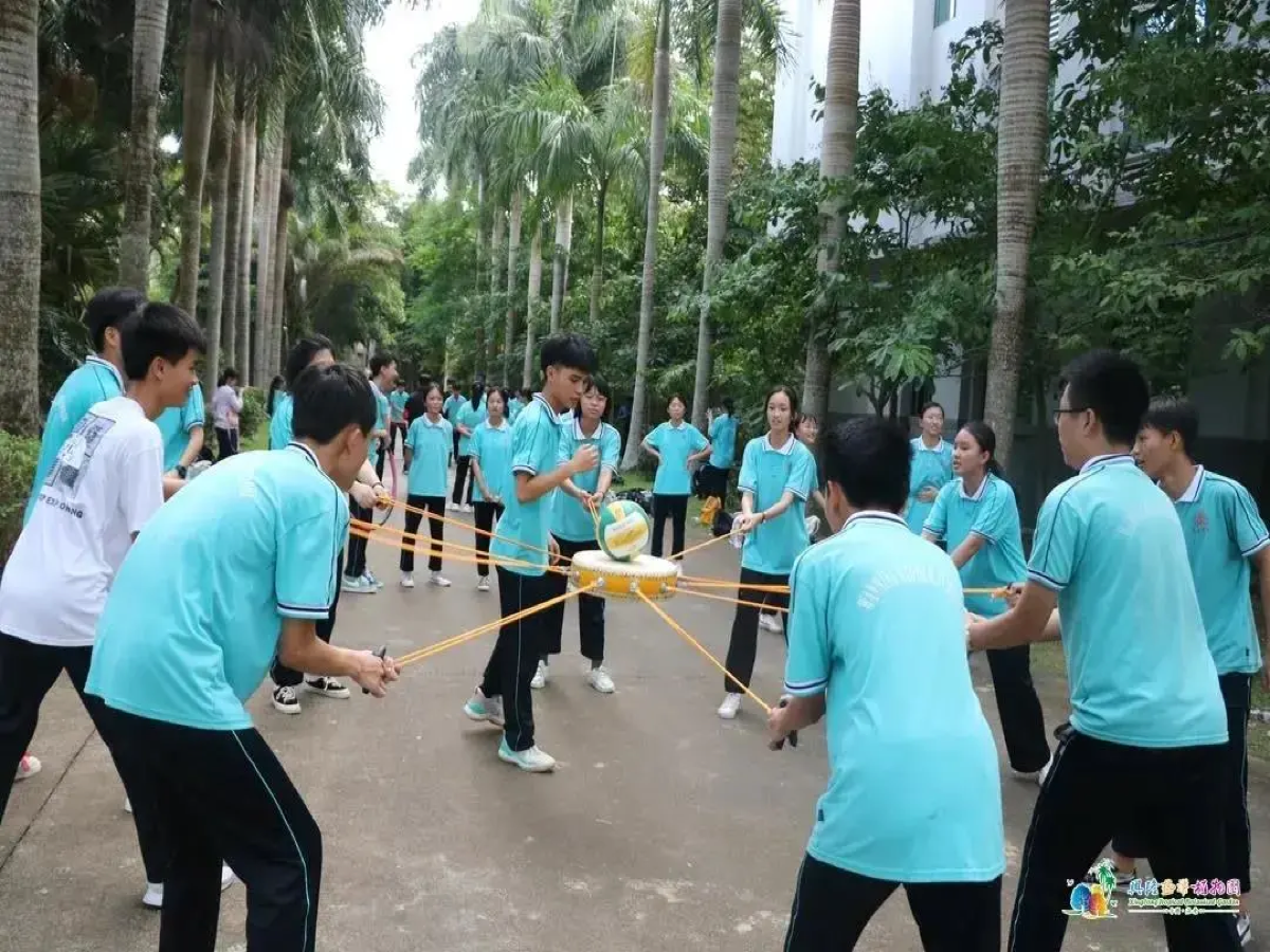 image_3