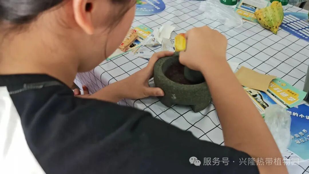 image_6.jpeg