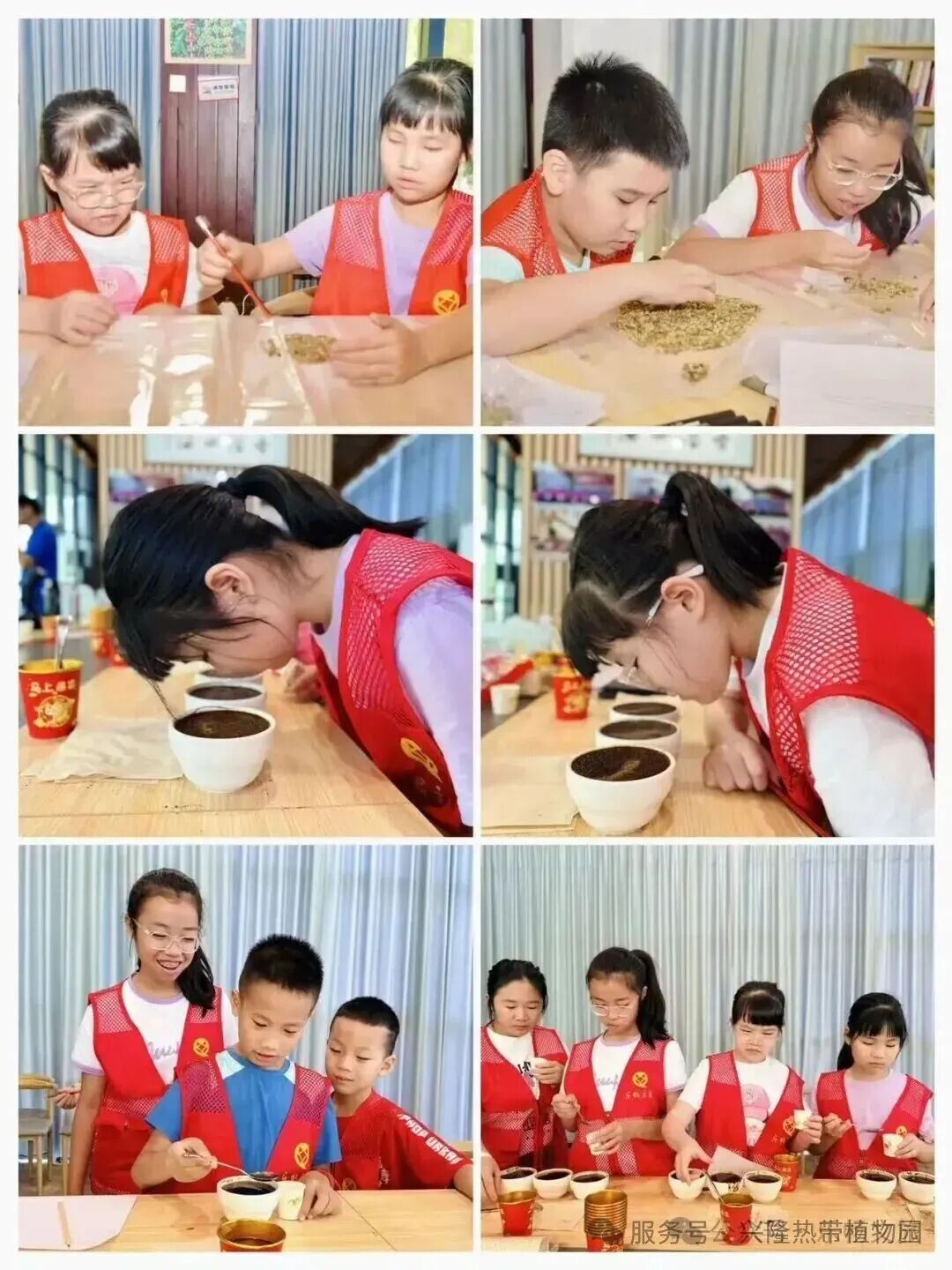 image_5.jpeg